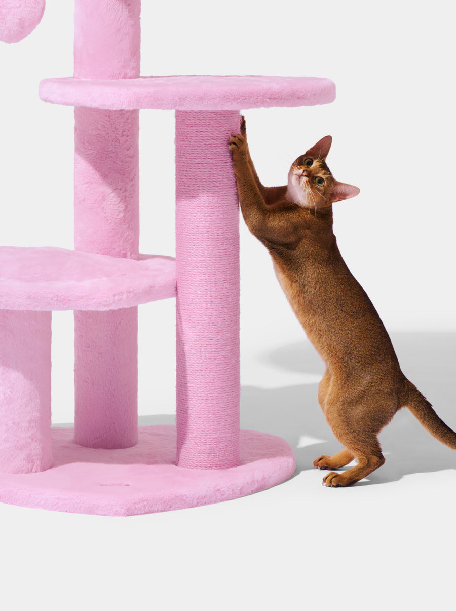 Heartpurrink Cat Climber