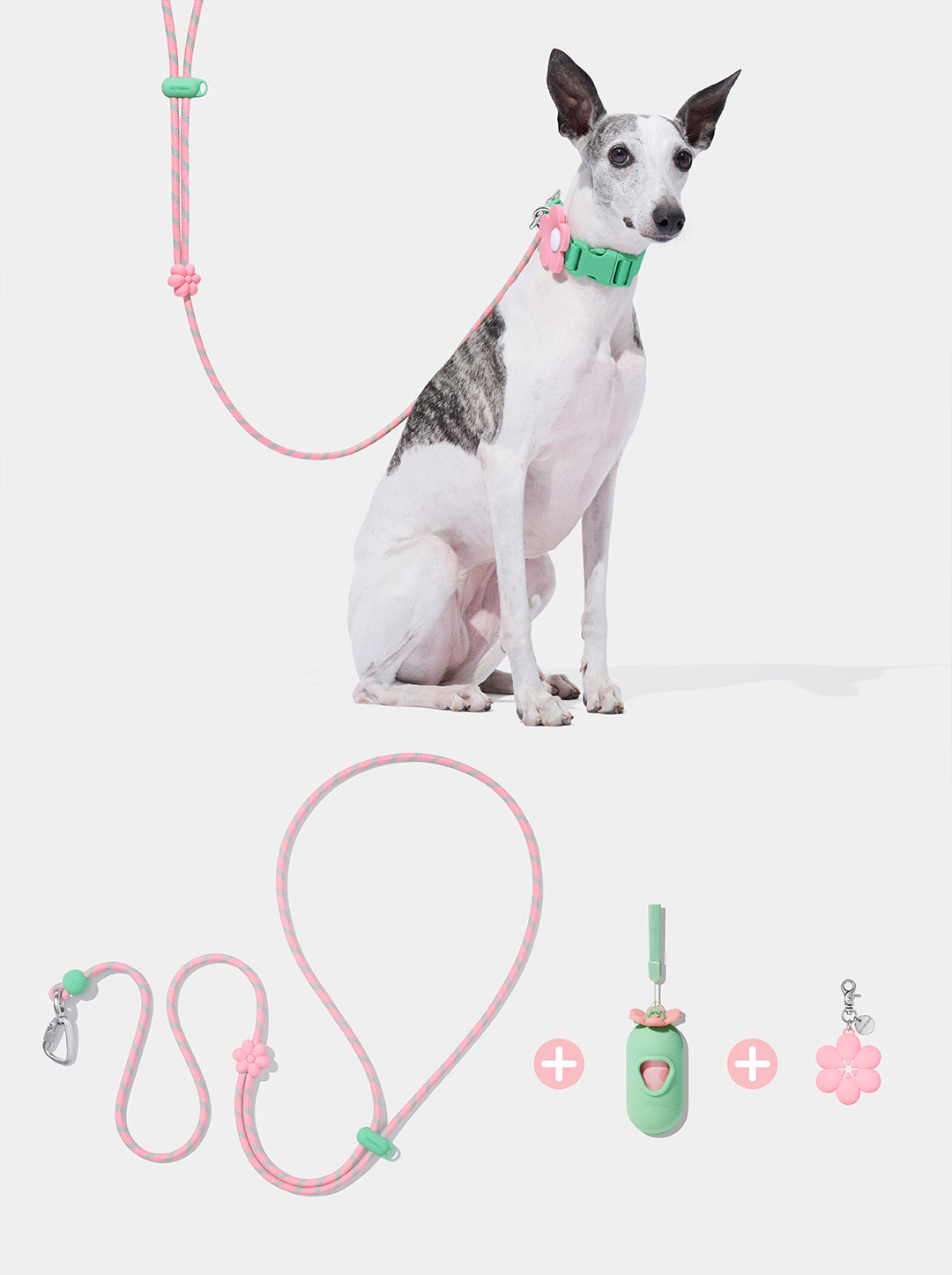 Connect Premium Classic Rope Leash Walk Kit - Flora
