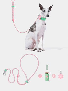 Connect Premium Classic Rope Leash Walk Kit - Flora