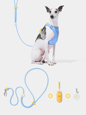 Connect Premium Classic Rope Leash Walk Kit - Daisy