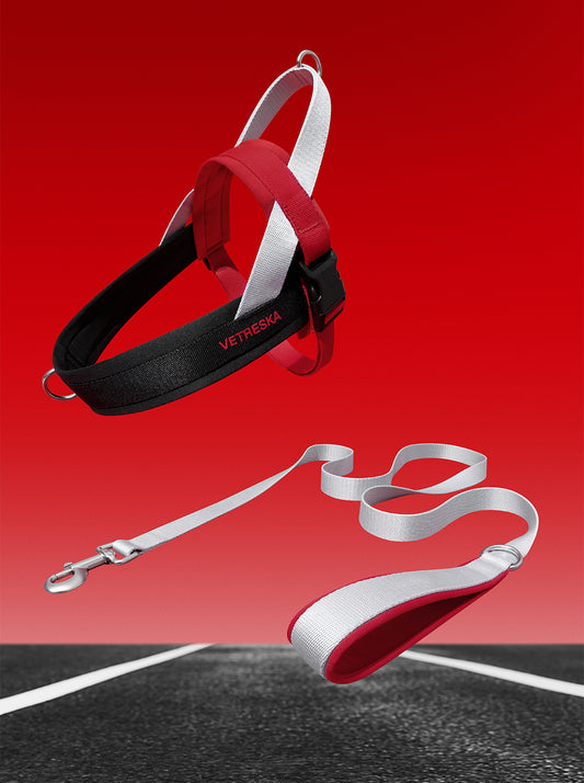 Circuit Quick Fit Pet Harness & Leash Set
