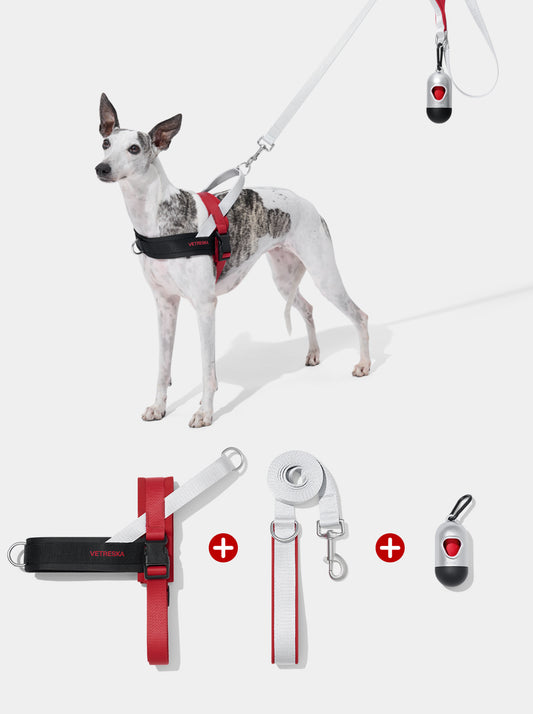 Circuit Quick Fit Pet Walk Kit