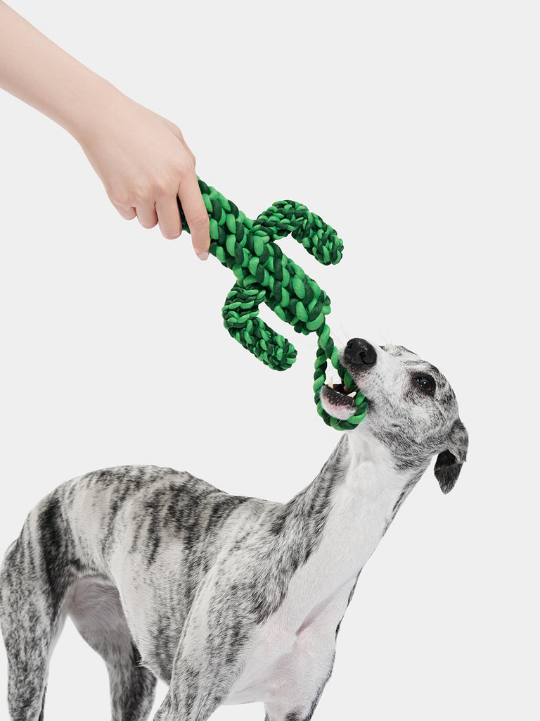 Oasis Cactus Knot Rope Toy