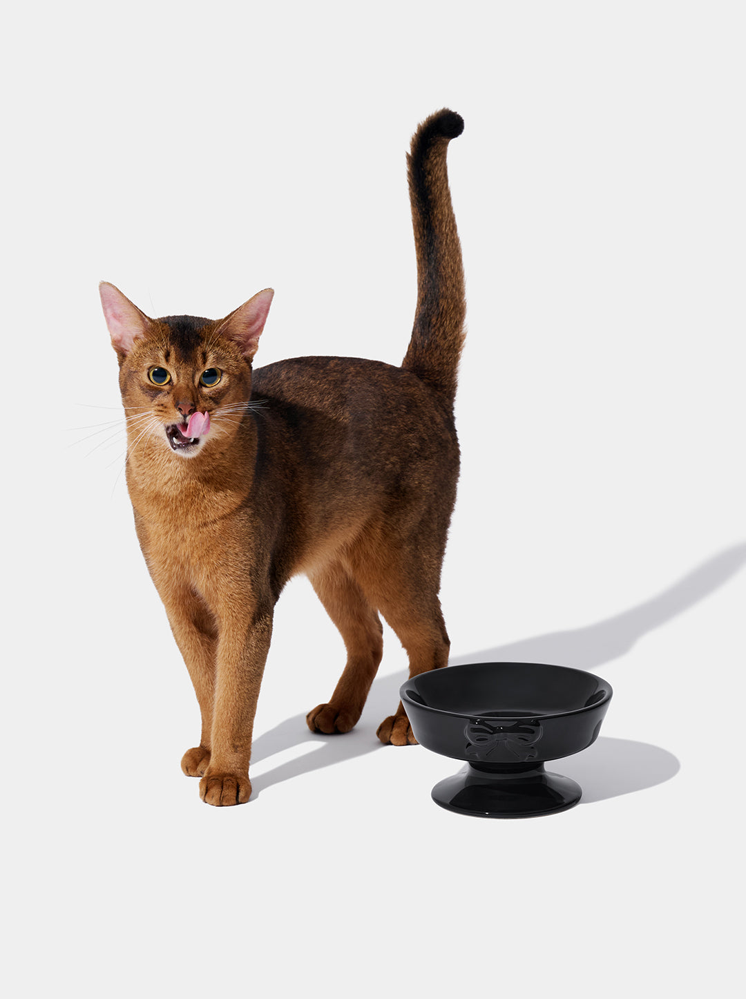 Bow de Noir Ceramic Pet Bowl