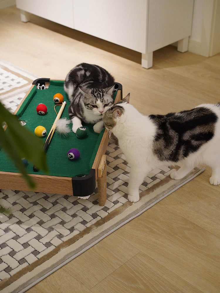 VETRESKA Pet Meownooker Cat Toy Set