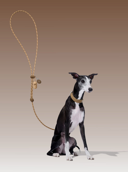 Connect Premium Classic Rope Leash Walk Kit - Coffee