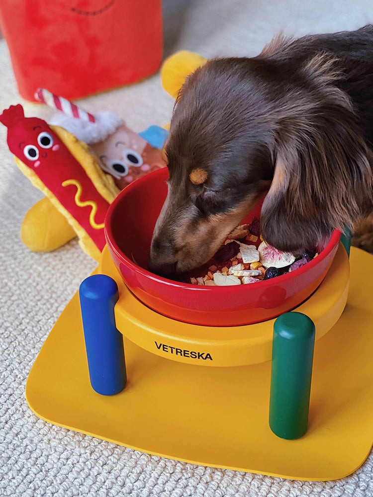 Santal Forest Ceramic Pet Bowl & Mat Set