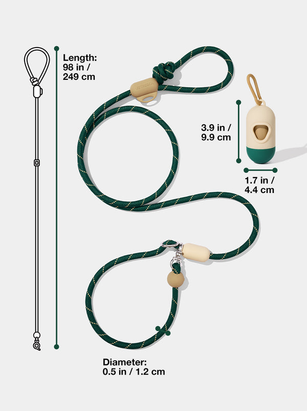 Connect Walk Kit - Santal Forest
