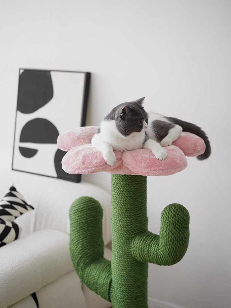 Blooming Cactus Cat Tree