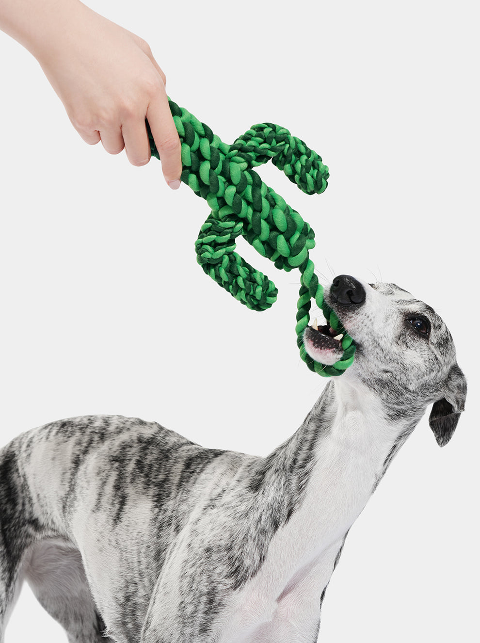 Oasis Cactus Knot Rope Toy