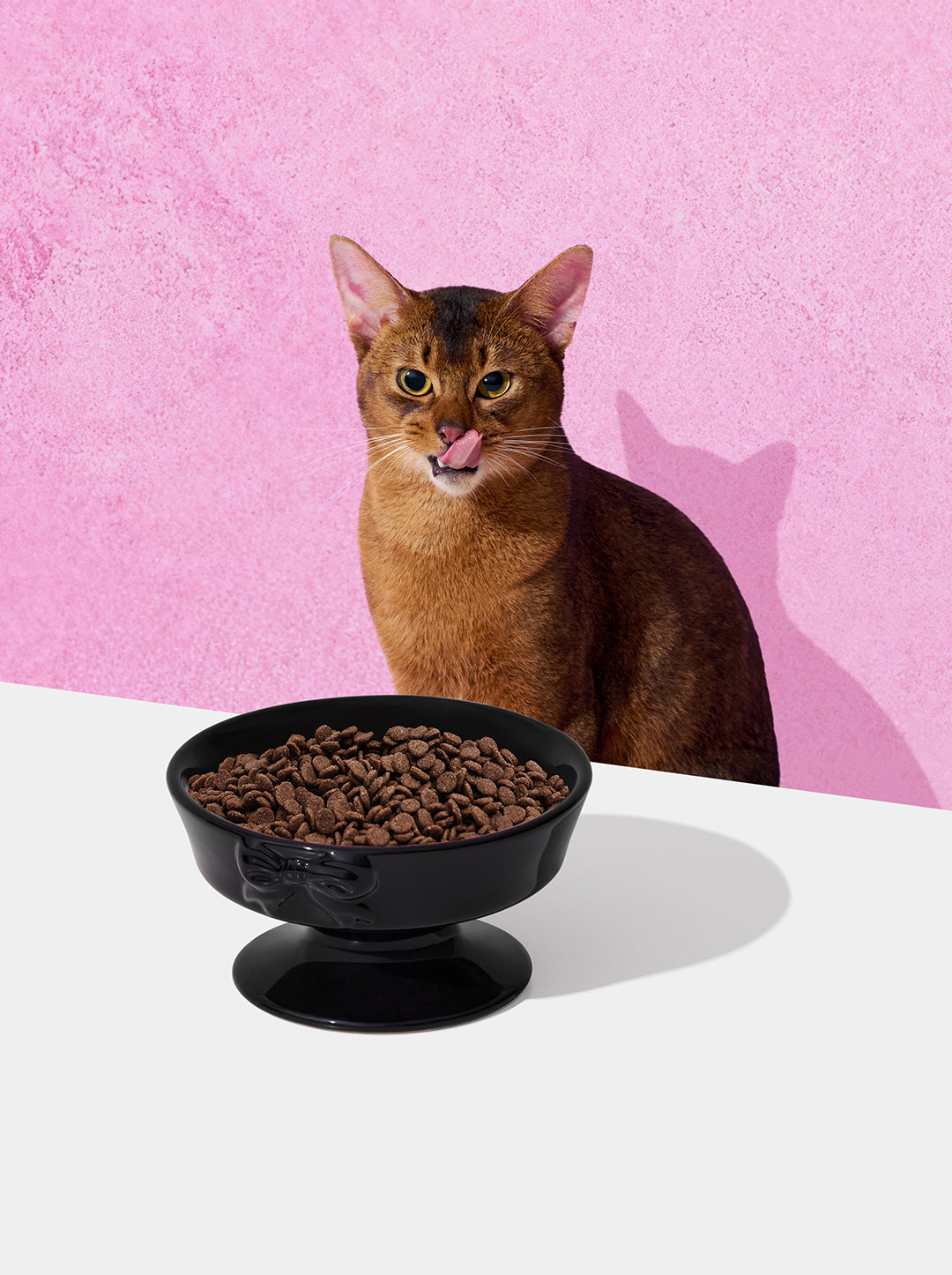 Bow de Noir Ceramic Pet Bowl