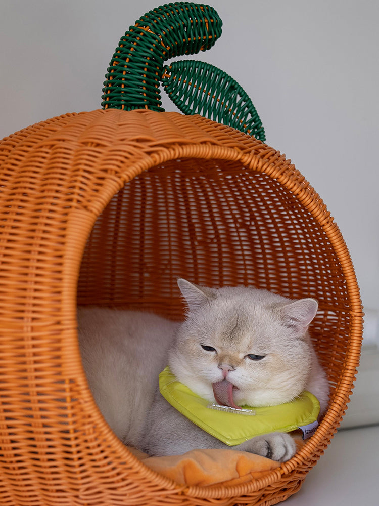   Tangerine Rattan Pet Bed