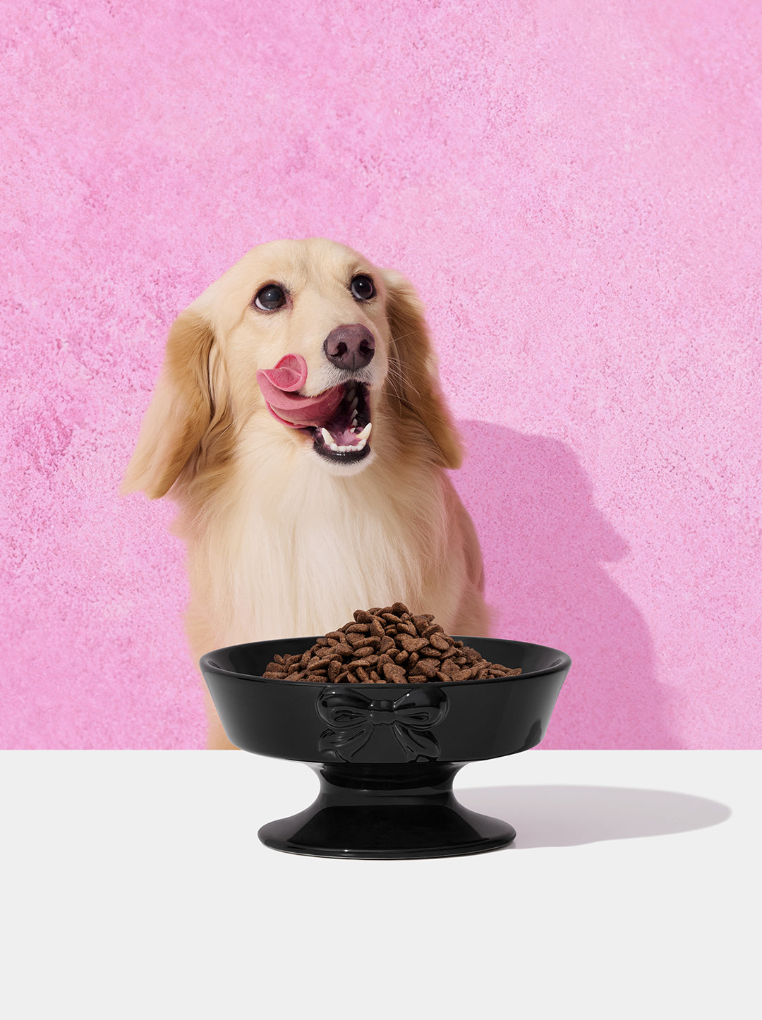 Bow de Noir Ceramic Pet Bowl