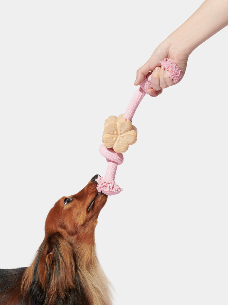 Cherry Blossom Knot Rope Toy