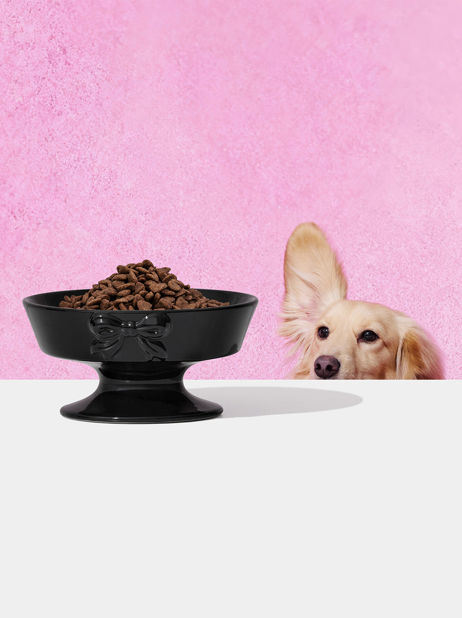 Bow de Noir Ceramic Pet Bowl