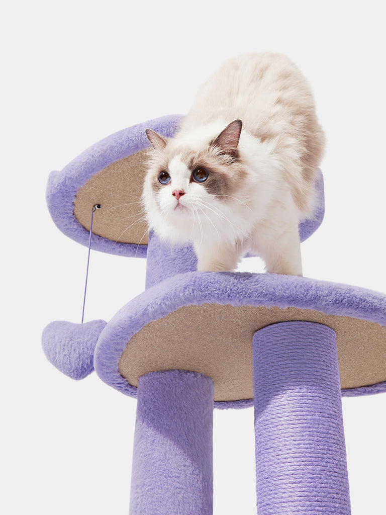 Heartpurrple Cat Climber - 4 Platforms