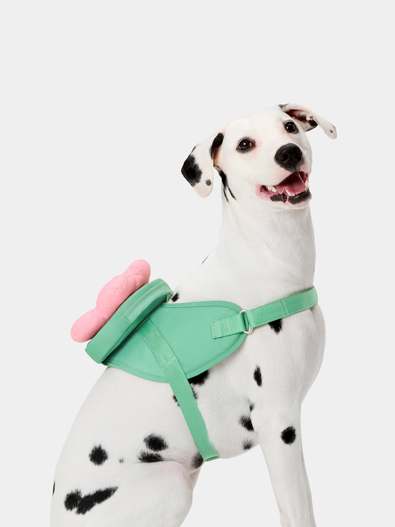 Vetreska Flora Pet Harness Backpack with Leash Xxs