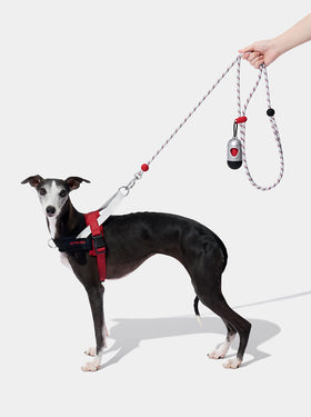 Connect Premium Classic Rope Leash Walk Kit - Circuit