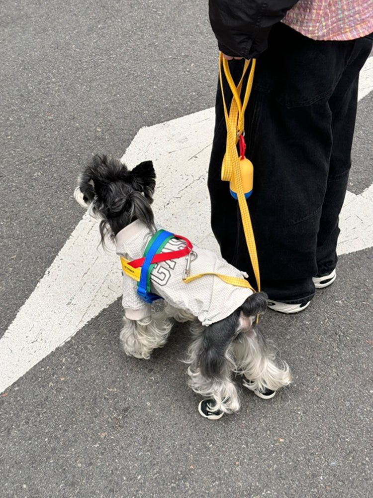 Chroma Pet Walk Kit (Yellow)