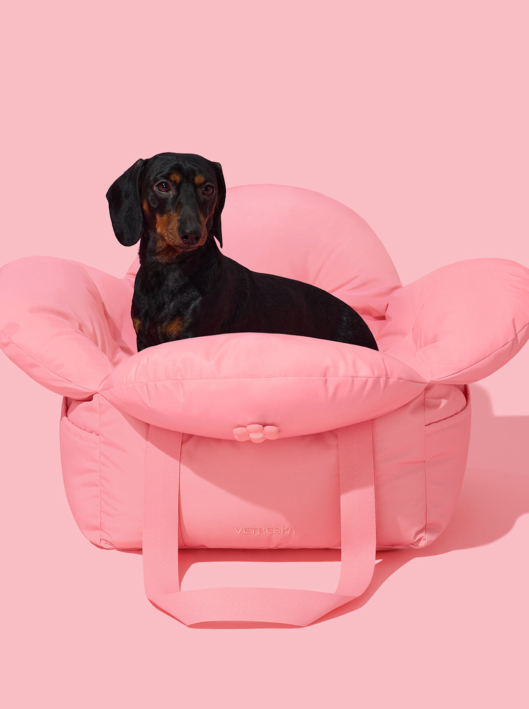 Flora Car Seat Pet Carrier