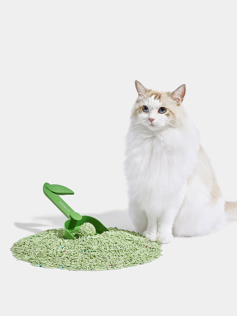 Green Tea Scented Deodorant Tofu Cat Litter