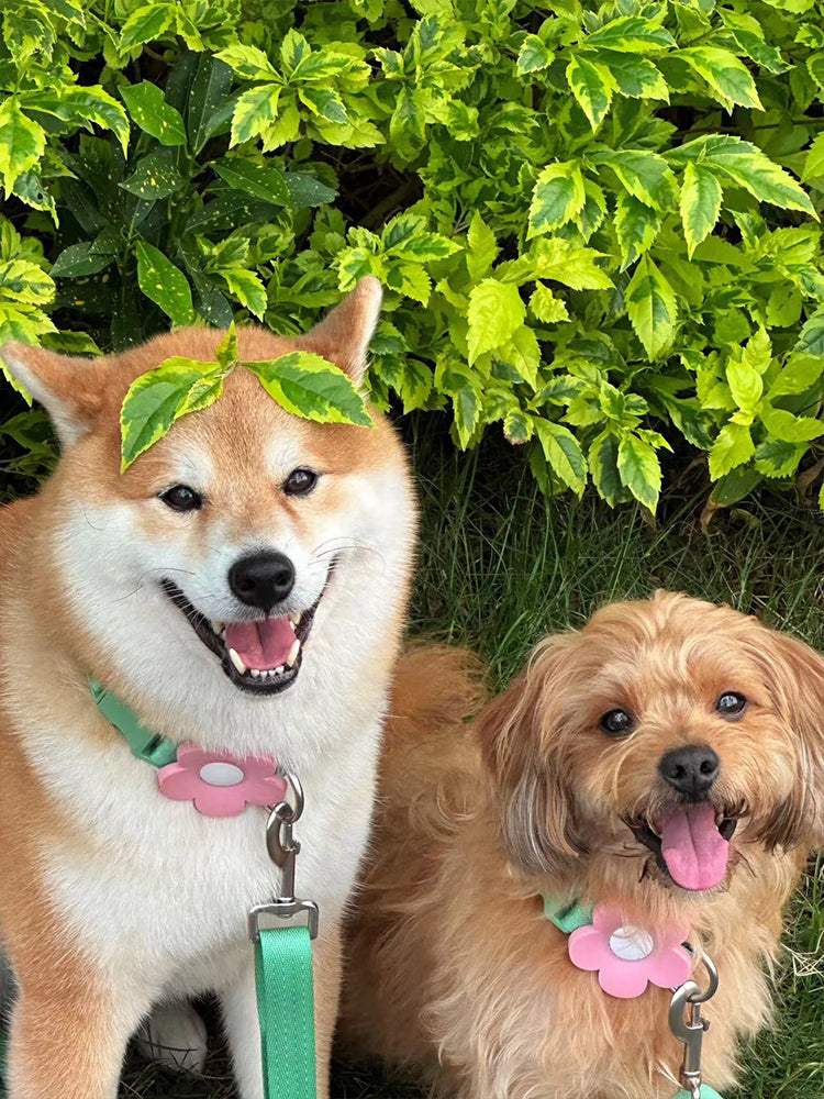 VETRESKA Pet Flora Pet Harness & Backpack 3 in 1 Set