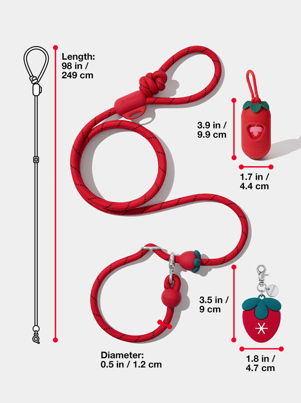 Connect Walk Kit - Strawberry