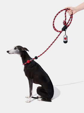 Connect Walk Kit - Circuit