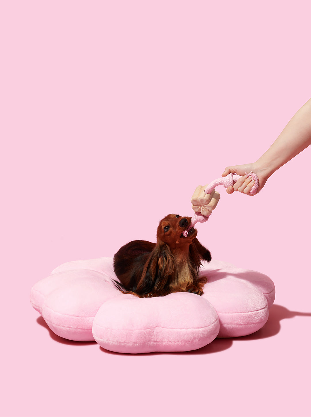 Shop VETRESKA | Cherry Blossom Pet Bed