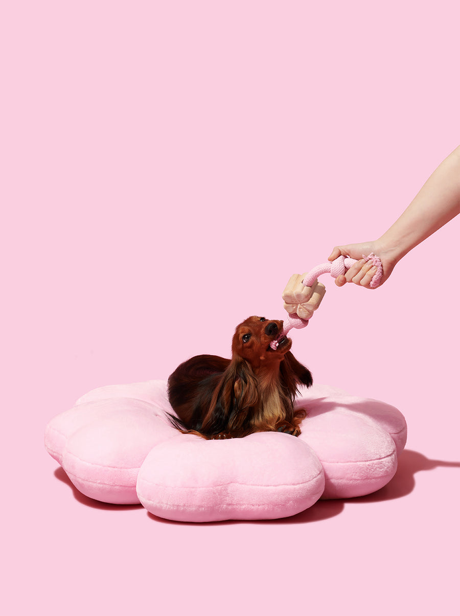 Cherry Blossom Pet Bed