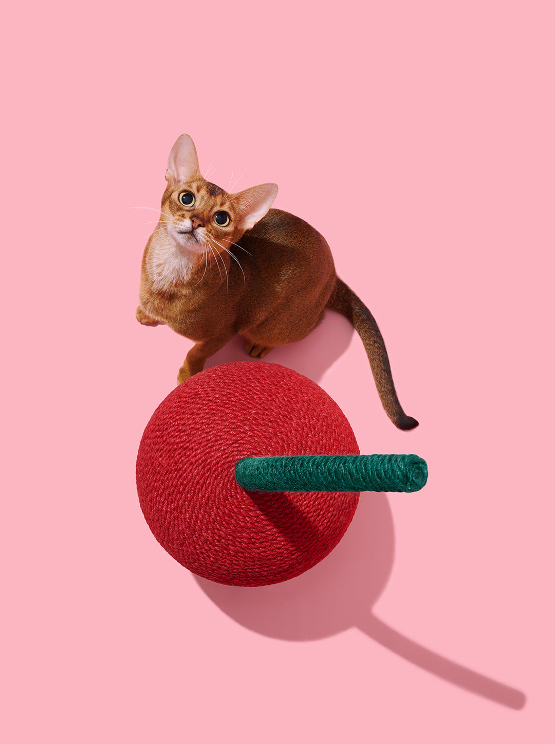 Cherry Cat Scratching Ball