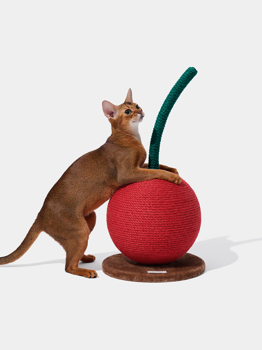 Cherry Cat Scratching Ball