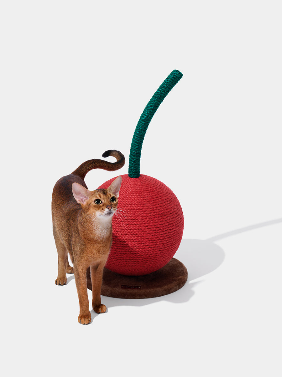 Cherry Cat Scratching Ball