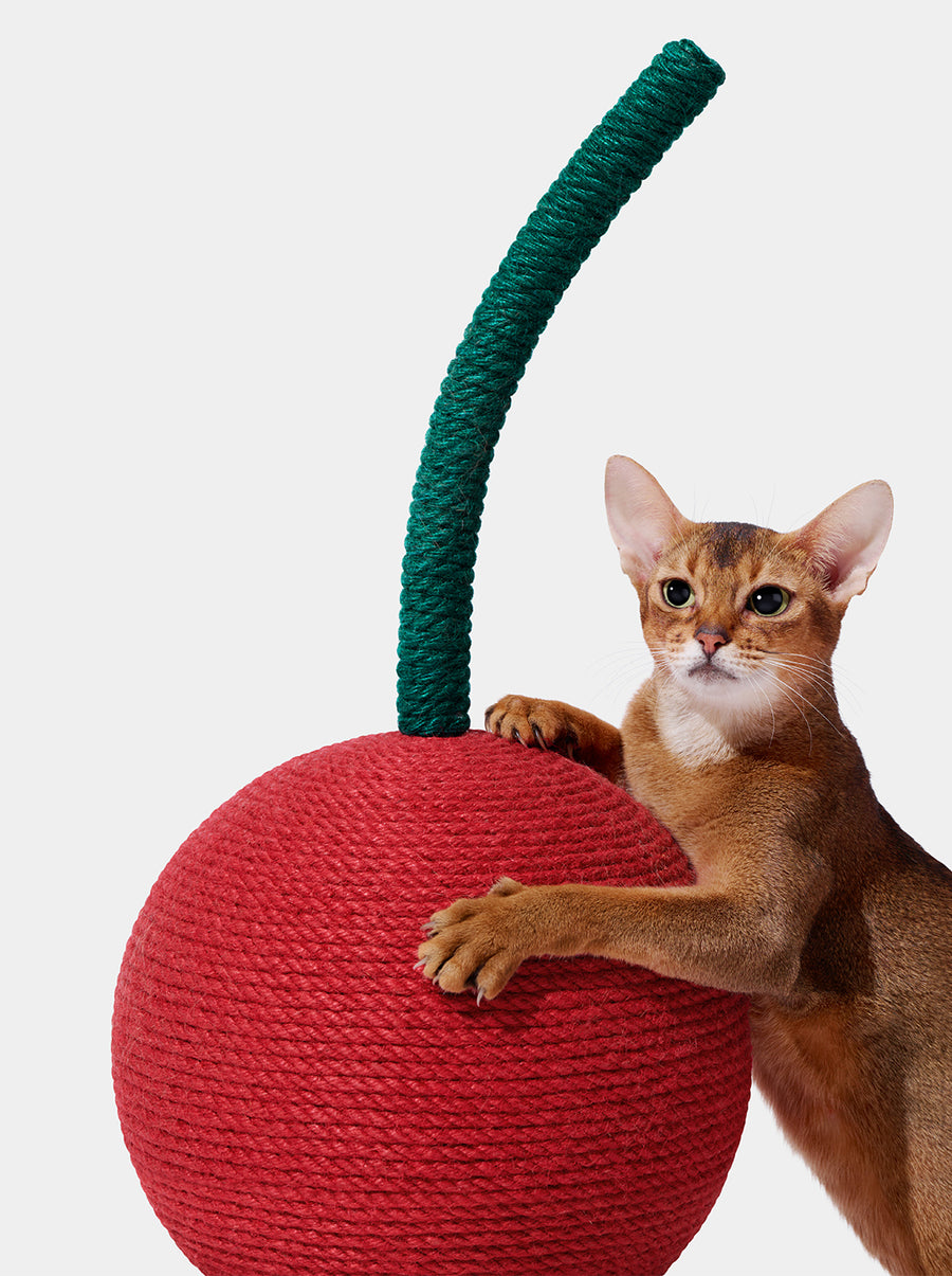 Cherry Cat Scratching Ball