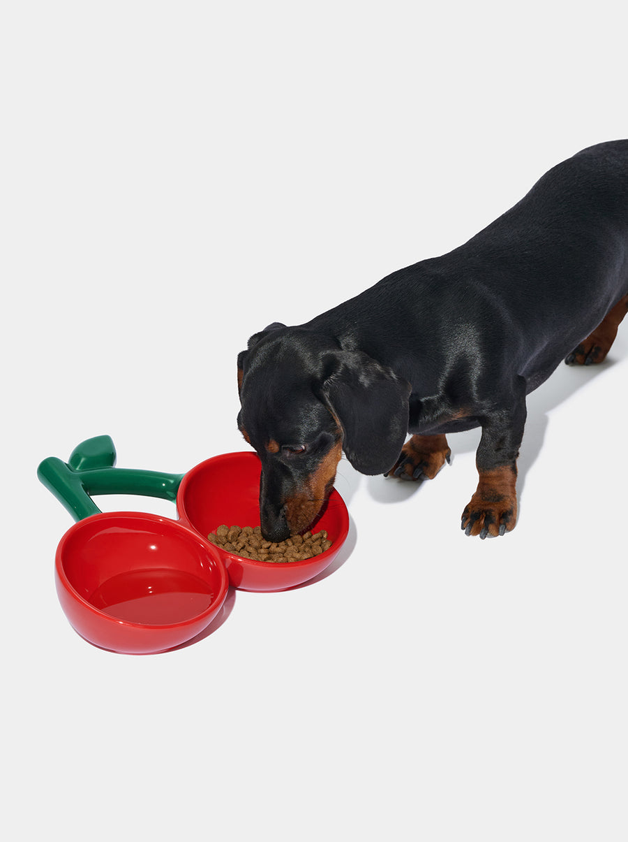 Cherry Ceramic Pet Bowl (NEW)
