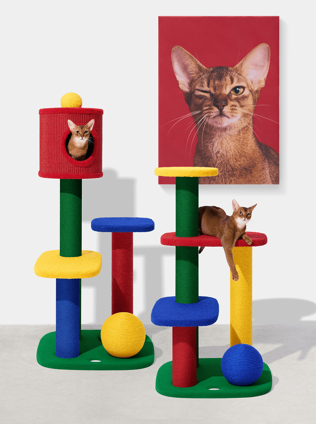Chroma Cat Climber - Open Platform