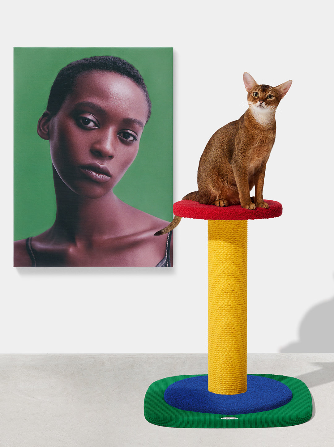Chroma Cat Scratching Post - Simple Post