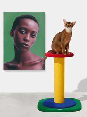 Chroma Cat Scratching Post - Simple Post