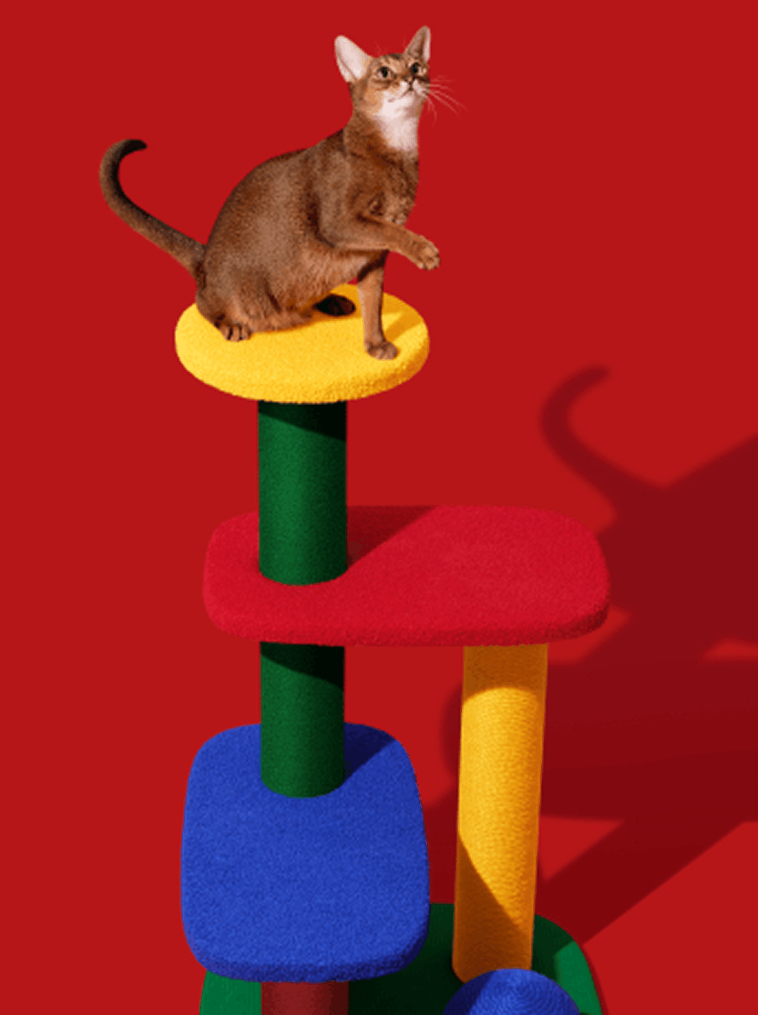 Chroma Cat Climber - Open Platform