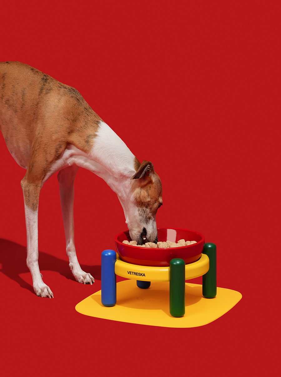 Chroma Ceramic Pet Bowl & Mat Set