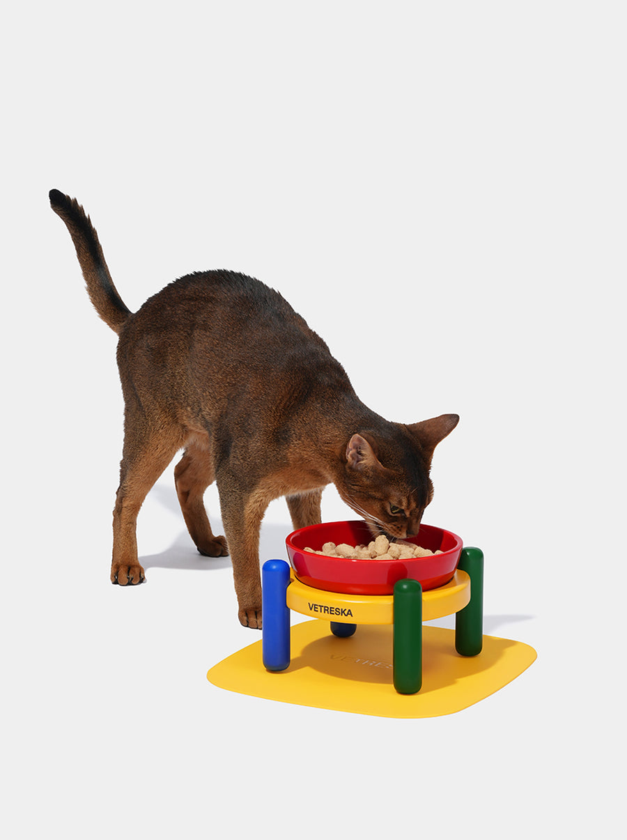 Chroma Ceramic Pet Bowl & Mat Set