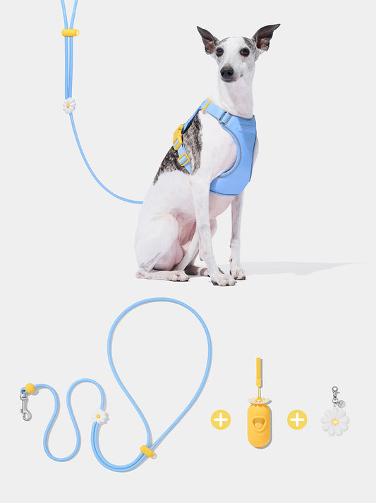 Connect Premium Classic Rope Leash Walk Kit - Daisy