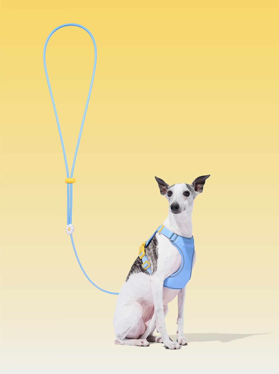 Connect Premium Classic Rope Leash - Daisy
