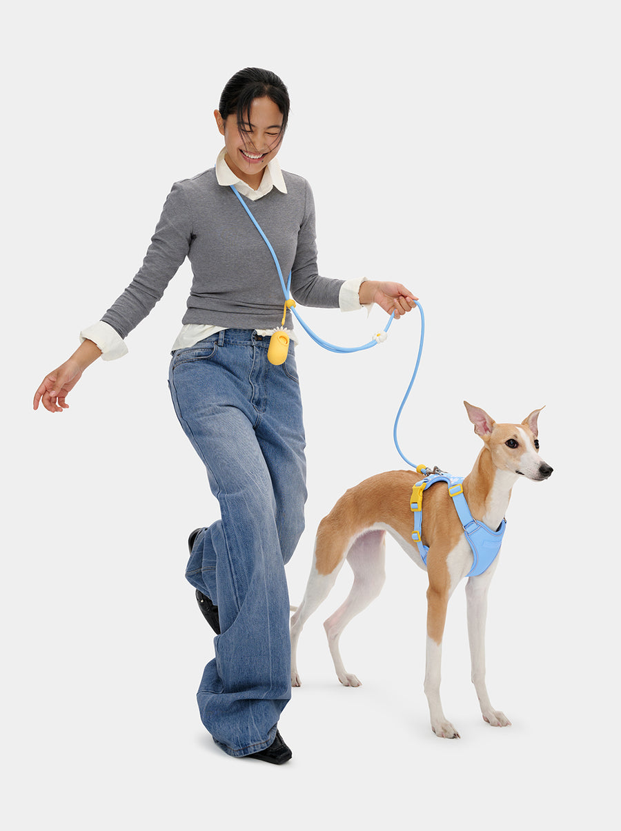 Connect Premium Classic Rope Leash Walk Kit - Daisy