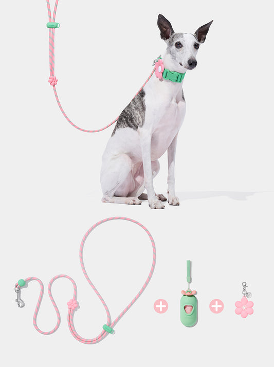 Connect Premium Classic Rope Leash Walk Kit - Flora