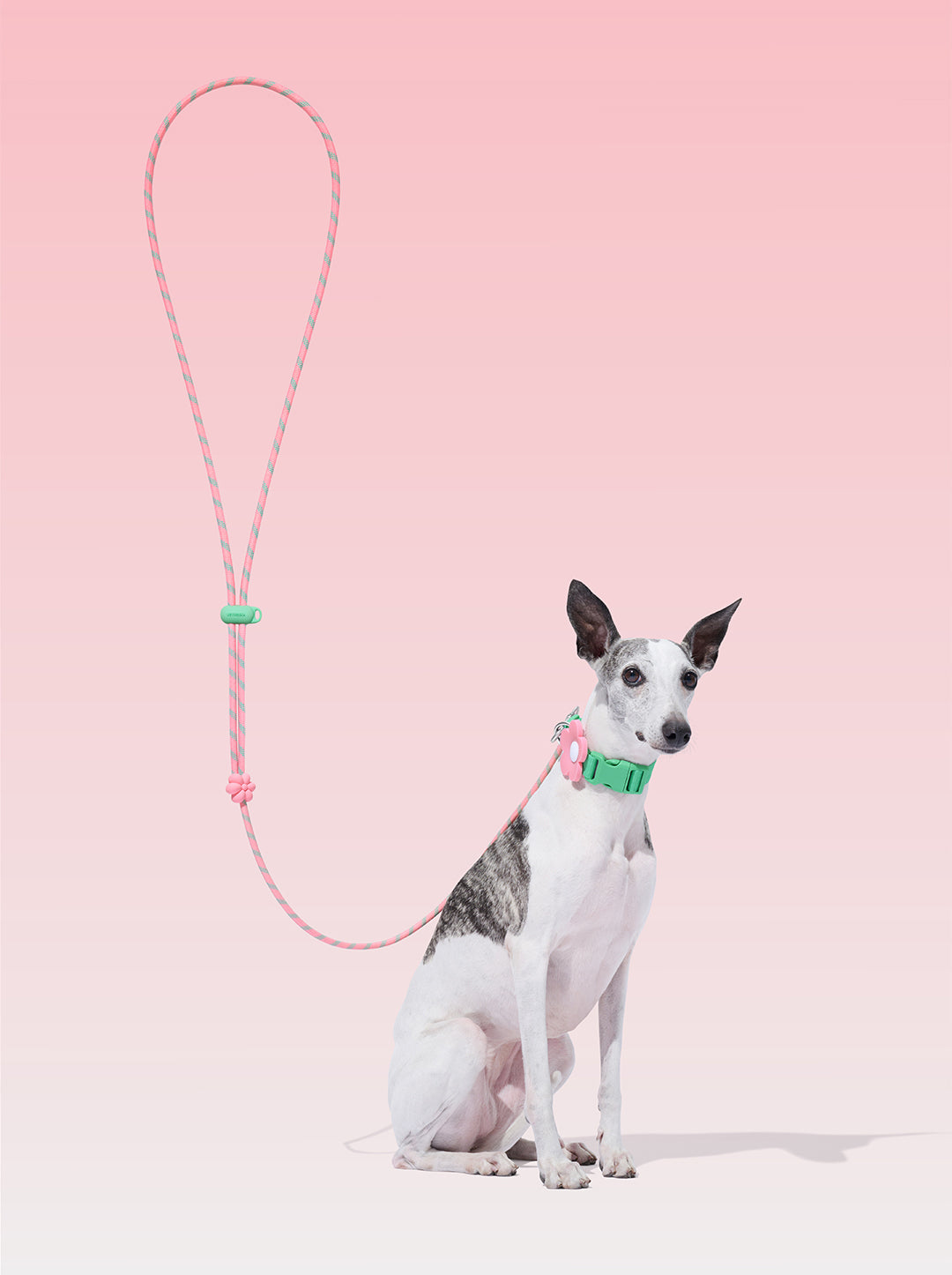 Connect Premium Classic Rope Leash - Flora