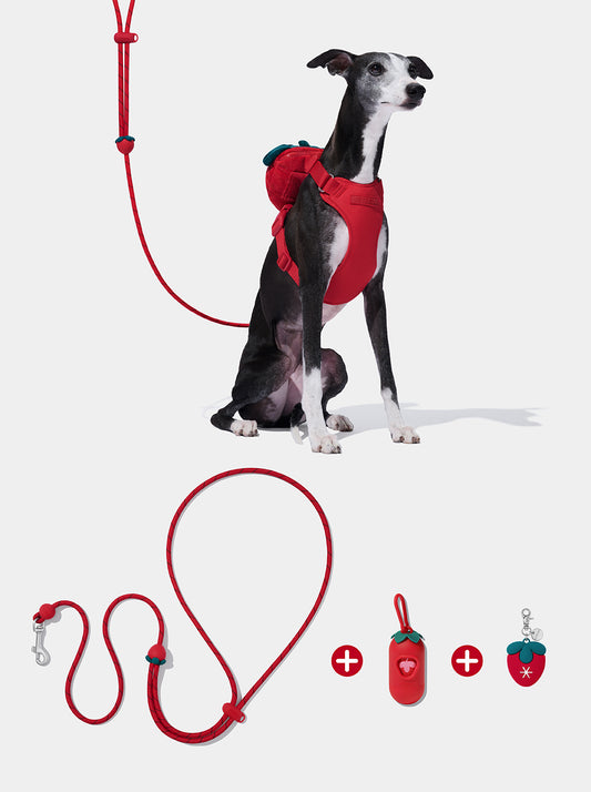 Connect Premium Classic Rope Leash Walk Kit - Strawberry