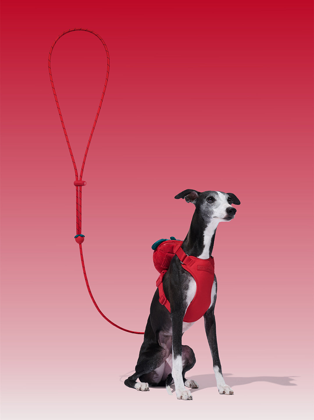 Connect Premium Classic Rope Leash - Strawberry