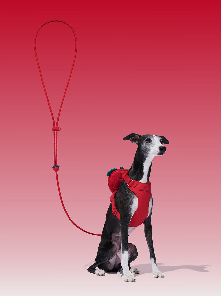 Connect Premium Classic Rope Leash Walk Kit - Strawberry