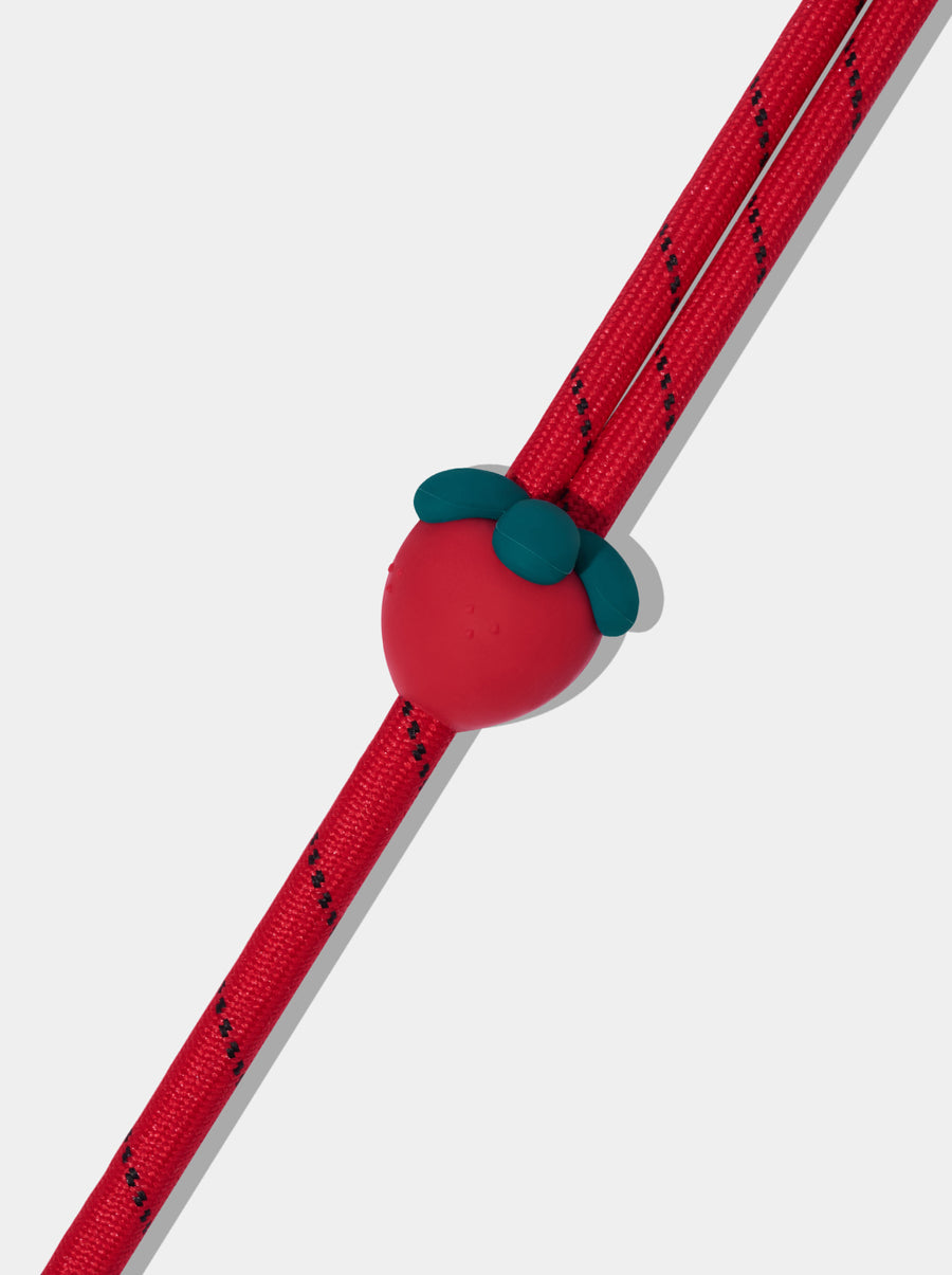 Connect Premium Classic Rope Leash Walk Kit - Strawberry